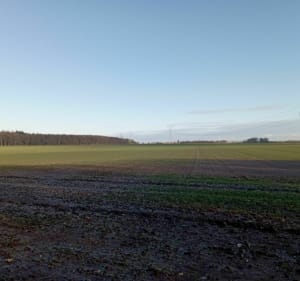 À travers bois et pâturages - Saint Nicolas d'Allermont - 3