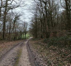 Balade près des Ulm à Fains Veel - Fains-Véel - 3