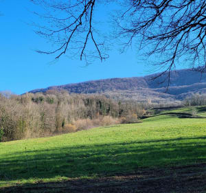 La Chapelle-sur-Furieuse - Ivrey par Les Anciennes Tuileries - La Chapelle-sur-Furieuse - 3