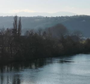 Langs de Rhône, de Roches-de-Condrieu en Condrieu - Les Roches-de-Condrieu - 5