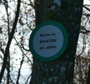 Le sommet du Hahnenberg hors des sentiers battus - Châtenois - 5