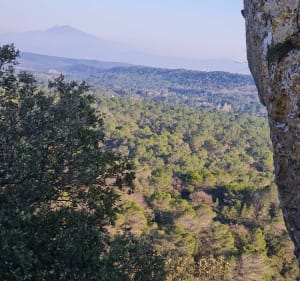 Belle balade des Pins sur le Montmout - Mornas - 3