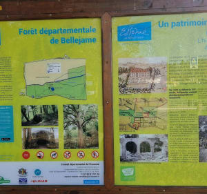 Balade en forêt de Bellejame à Marcoussis - Marcoussis - 3
