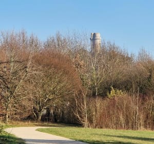 Balade en forêt de Bellejame à Marcoussis - Marcoussis - 5