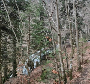 "Grand tour" - Le Hohwald - Le Hohwald - 5