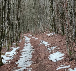 "Grand tour" - Le Hohwald - Le Hohwald - 3
