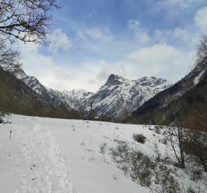 Balade hivernale Canal de la Motte en Champsaur - La Motte-en-Champsaur - 3