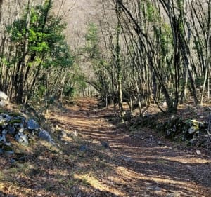 De La Roubine par Courmes et la Combe de L'Aïgre - Coursegoules - 4