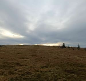 Route des crêtes et le sommet du Hohneck - Christophe - 3