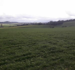 Montmirail - Montmirail - 4