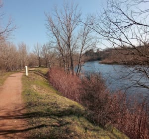 Entre la LOIRE et le canal de ROANNE. - Roanne - 5