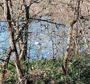 Entre la LOIRE et le canal de ROANNE. - Roanne - 3