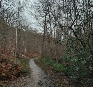 En boucle autour du Bois de Kabiline - Coignières - 4