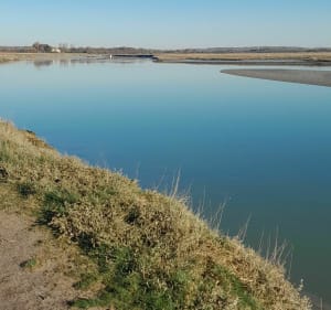 Entre molières et sable en baie d'Authie - Conchil-le-Temple - 5