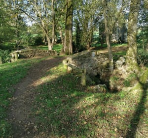 De la Tourlandry aux Gardes - Tourlandry - 3