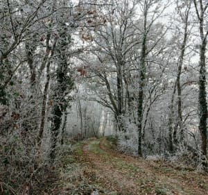 Balade hivernale à Liernais - Liernais - 4