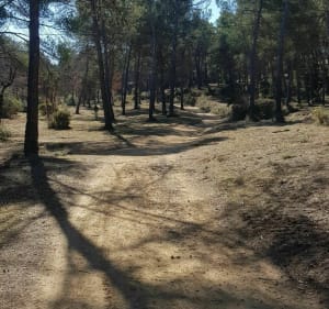 Circuit La Duranne Petit Arbois - Aix-en-Provence - 3