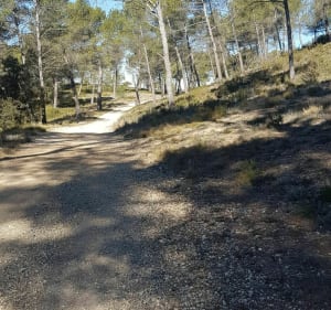 Circuit La Duranne Petit Arbois - Aix-en-Provence - 4