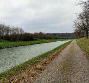 Promenade Fedry, au bord de la Saône - Fédry - 4