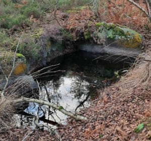 Sur les traces des carriers - Fontainebleau - 3