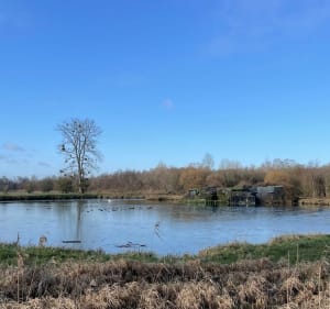 Balade nature et Somme - Lamotte-Brebière - 5