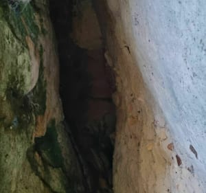 Sur les traces des carriers - Fontainebleau - 4