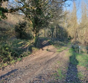 Queaux sentier sous les falaises et en bord de Vienne - Jean-Paul - 3