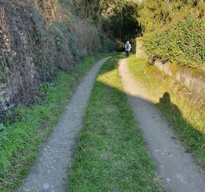Queaux sentier sous les falaises et en bord de Vienne - Jean-Paul - 4