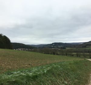 Randonnée sur la haute côte de Nuits-Saint-Georges - Nuits-Saint-Georges - 5