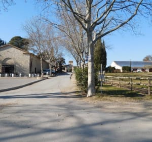 Balade vigneronne à Teyran et ruisseau Le Salaison - Philippe - 3