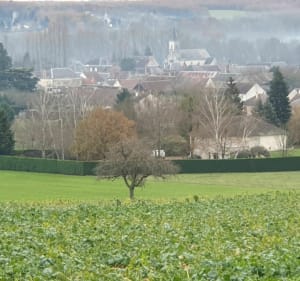 Entre Fléré et Bridoré - Fléré-la-Rivière - 3