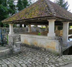 Promenade dans la prairie de Fédry et ses bords de Saône - Fédry - 3