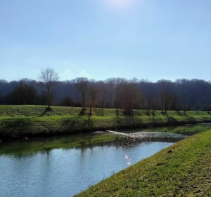Promenade dans la prairie de Fédry et ses bords de Saône - Fédry - 4