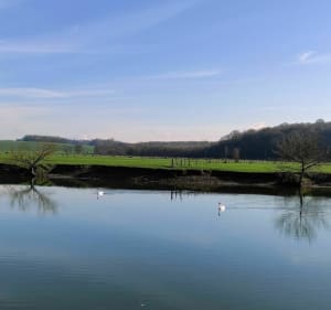 Promenade dans la prairie de Fédry et ses bords de Saône - Fédry - 5