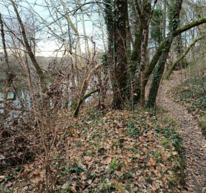 Ballade de Lanas à Servière et retour - Lanas - 4