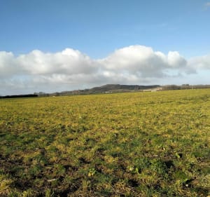 Sur les chemins de Terdeghem - Terdeghem - 5