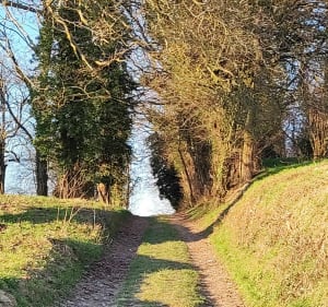 Sentier des collines de Rixheim - Rixheim - 3