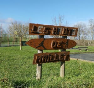 Balade de la Membrolle sur Choisille vers Mettray - La Membrolle-sur-Choisille - 3