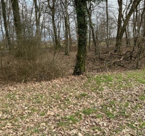 Promenade autour de Lamarche-sur-Saône par les étangs du Fourneau et du Milieu - Fabienne - 3