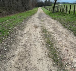 Promenade autour de Lamarche-sur-Saône par les étangs du Fourneau et du Milieu - Fabienne - 5