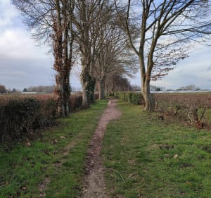 La Maraîchère, dans les champs de Périgny - Périgny - 3