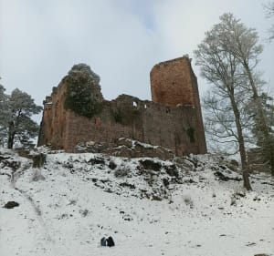 Château du Landsberg à Schlossberg - Barr - 4
