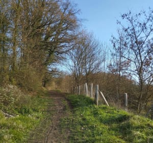 Balade de la Membrolle sur Choisille vers Saint Cyr/Loire - La Membrolle-sur-Choisille - 3