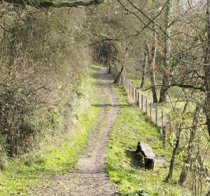 Balade de la Membrolle sur Choisille vers Saint Cyr/Loire - La Membrolle-sur-Choisille - 4