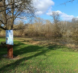 A la découverte du chemin de la chèvrerie de St Georges - Saint Georges sur la Prée - 4