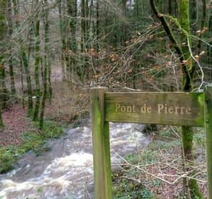 Balade dans la forêt domaniale de Clohars Carnoët - Quimperlé - 4