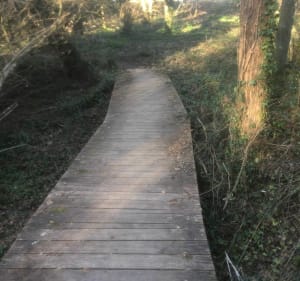 Promenade dominicale du Pont du Sal - Plougoumelen - 3