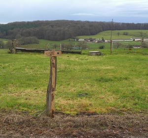 Balade entre canal et campagne : balade du Petit Verrier - Blanzy - 5
