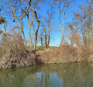 De Fresnes à Charmentray, canal et champs - Fresnes-sur-Marne - 3