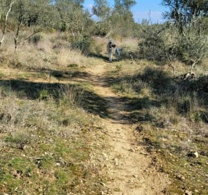 Promenons nous dans les bois de Vézénorbes - Saint-Hilaire-de-Brethmas - 3